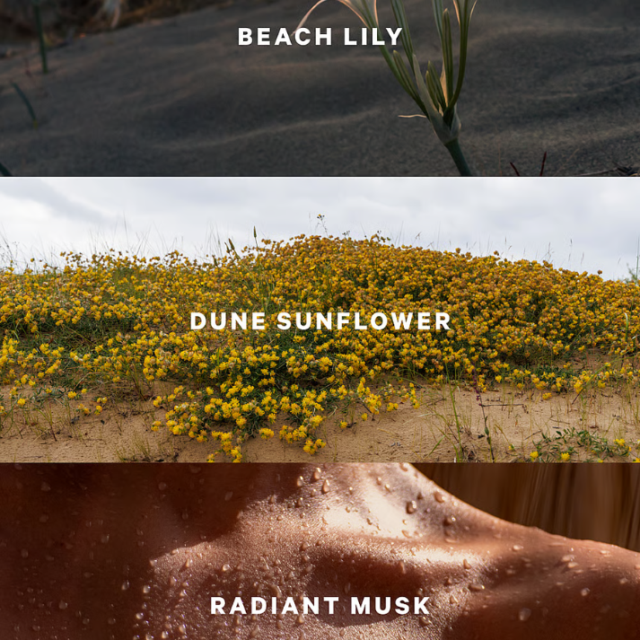 Sundrenched blooms 250ml